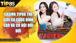 Ảnh đại diện Casino TIP88