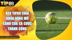 Ảnh đại diện kèo TIP88