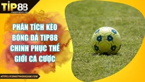Ảnh đại diện phân tích kèo bóng đá TIP88