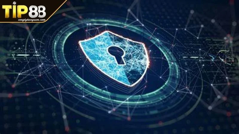 Chính Sách Bảo Mật TIP88 Yếu Tố Bảo Vệ Quyền Lợi Người Chơi Trách nhiệm người chơi trong bảo vệ thông tin